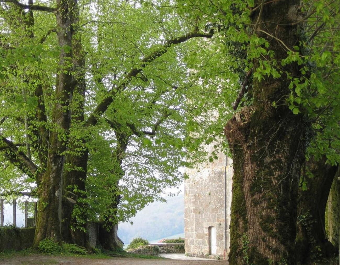 Bevau - B&B Bio Trampot Exterior foto